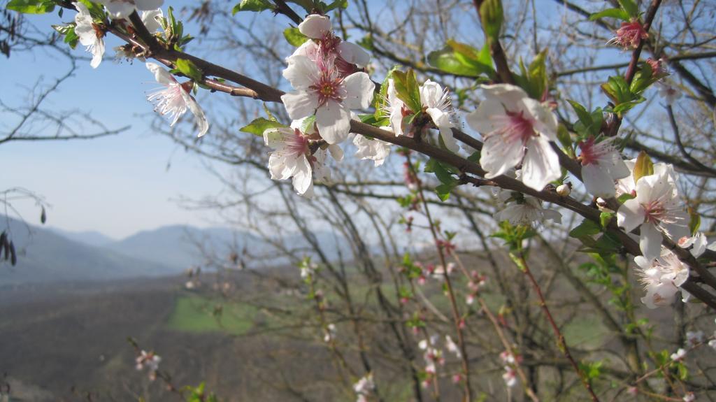 Il Mio Rifugio Pensjonat Gaggio Montano Zewnętrze zdjęcie
