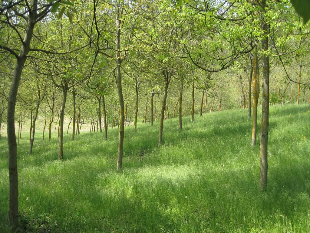 Il Mio Rifugio Pensjonat Gaggio Montano Zewnętrze zdjęcie