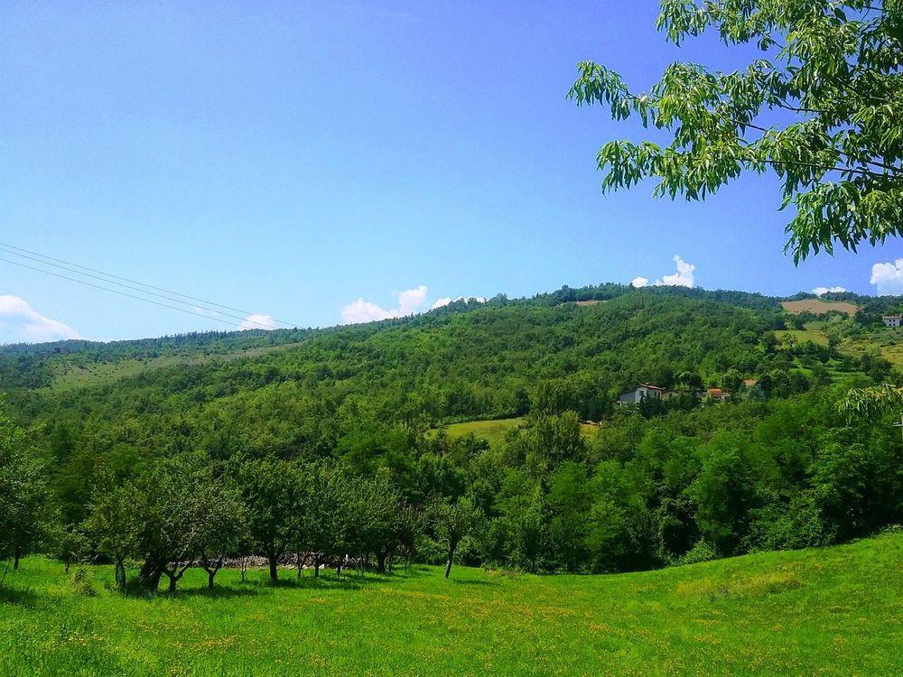 Il Mio Rifugio Pensjonat Gaggio Montano Zewnętrze zdjęcie